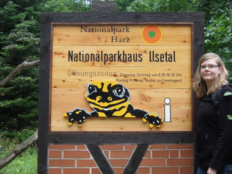 Nationalparkhaus Ilsetal und Rangerstation Scharfenstein wieder geöffnet