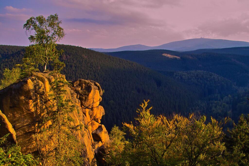 Nationalpark Harz: Nachhaltige Erholung im Einklang mit der Region